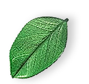 https://hilohousecleaning.com/wp-content/uploads/2025/07/floating_leaf_01.png